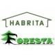 Cobertizo de jardín Habrita de madera maciza 25,37 m2 con techo plano de acero